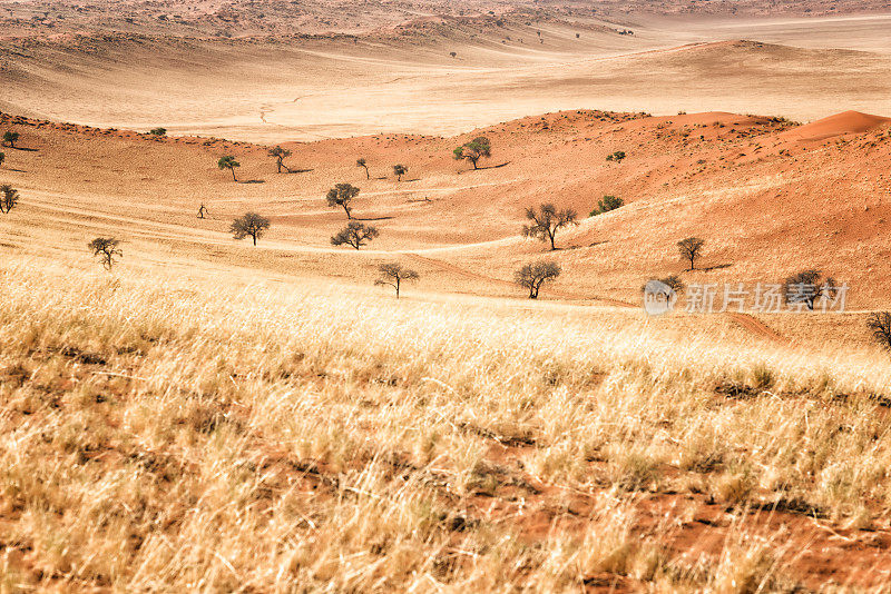 4 × 4越野路径通过沙丘纳米布兰德自然保护区，纳米比亚